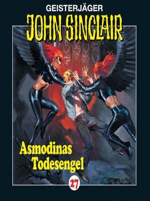 cover image of Folge 27